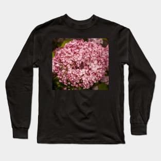 Beautiful Pink Hydrangea Flower Closeup. Long Sleeve T-Shirt